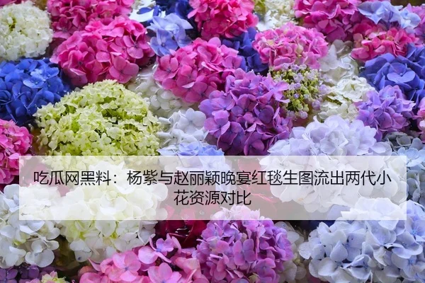 吃瓜网黑料：杨紫与赵丽颖晚宴红毯生图流出两代小花资源对比
